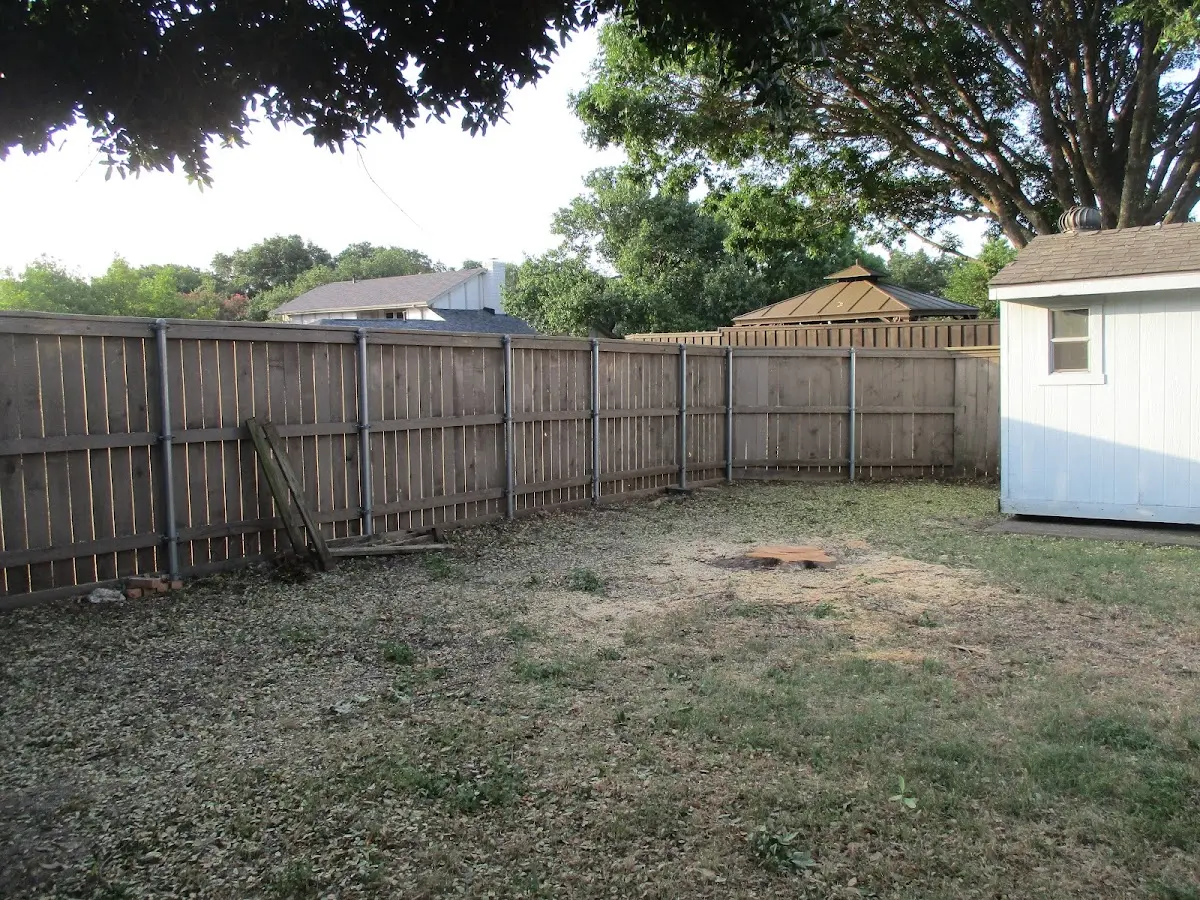 Cleared yard after professional tree removal in Lurgan